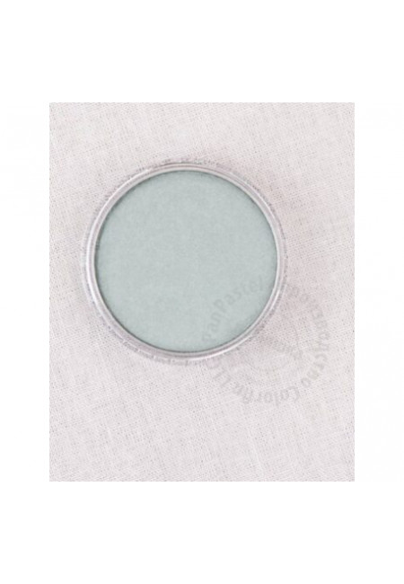 PanPastel 29215 цвет - pewter